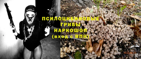 стаф Гусев