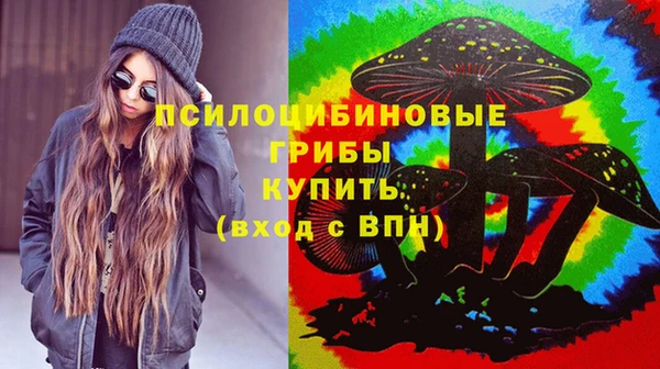 стаф Гусев