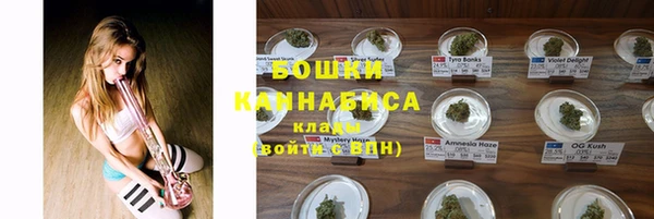 стаф Гусев