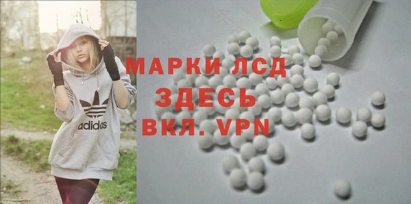 стаф Гусев