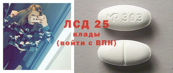 стаф Гусев