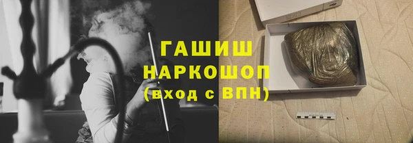 стаф Гусев