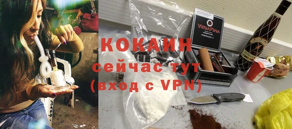 стаф Гусев