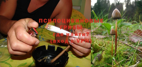 круглые Гусиноозёрск
