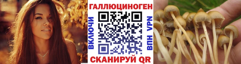 Галлюциногенные грибы Magic Shrooms Железногорск-Илимский